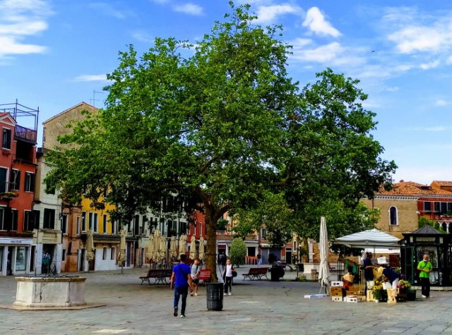 Campo Santa Margherita